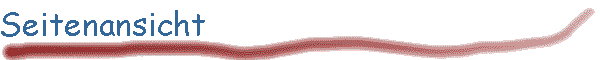 Seitenansicht
